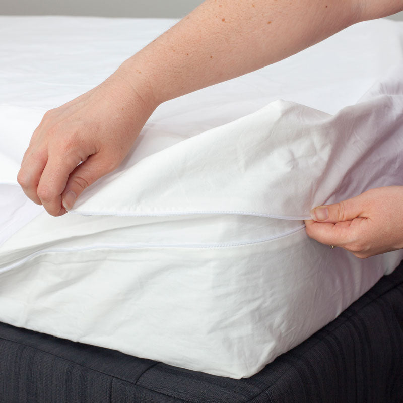 Miteguard Cotton Mattress Cover