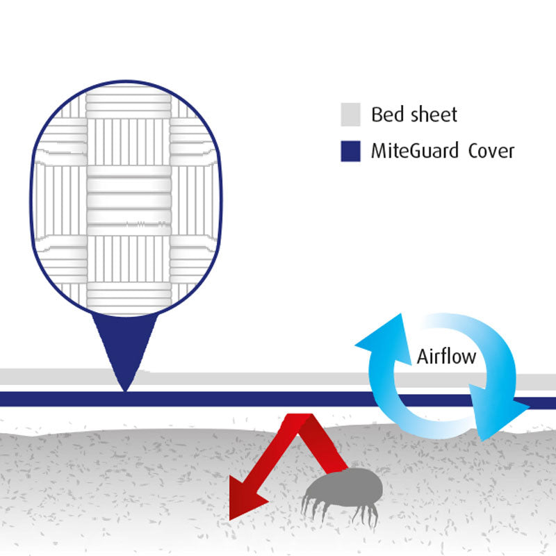 MiteGuard Cotton Travel Flat Sheet