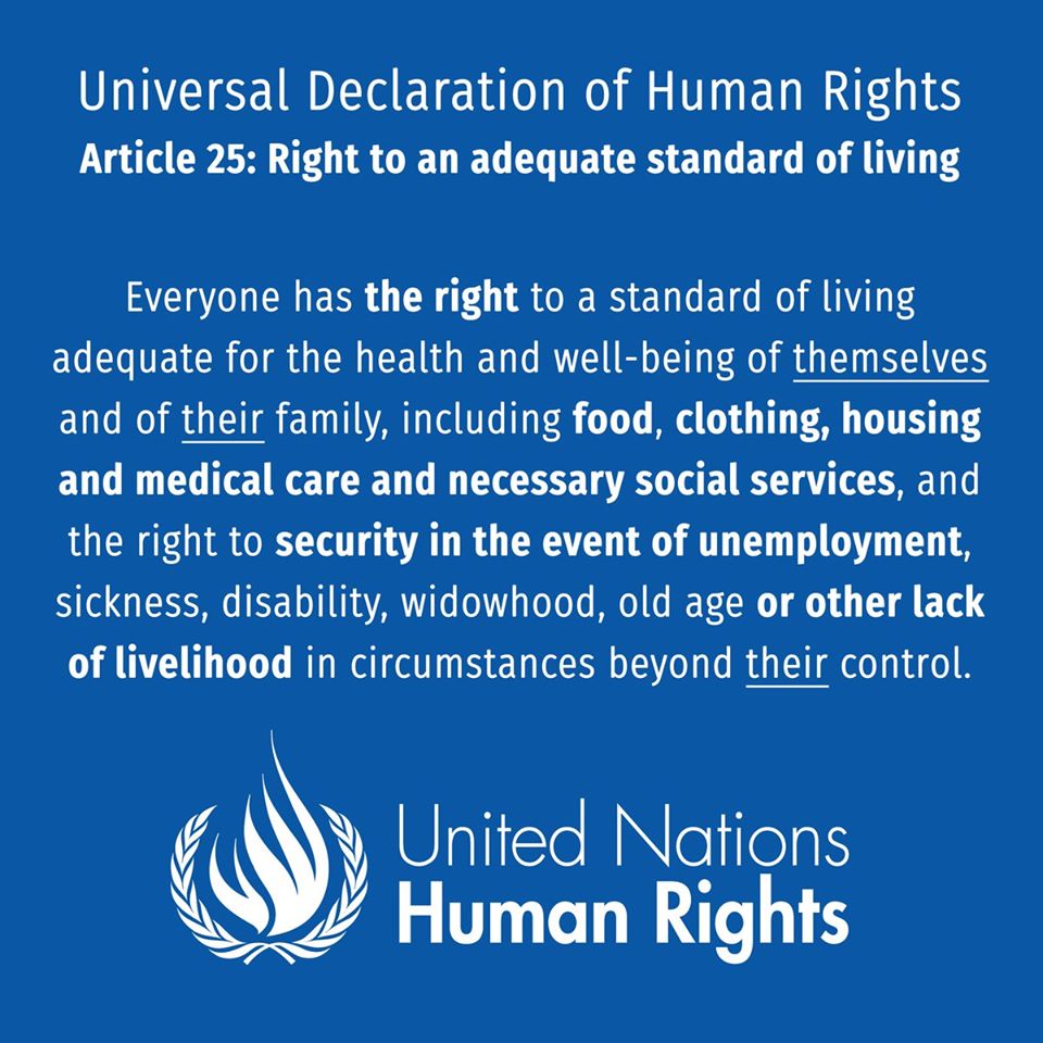 Human Rights Declaration